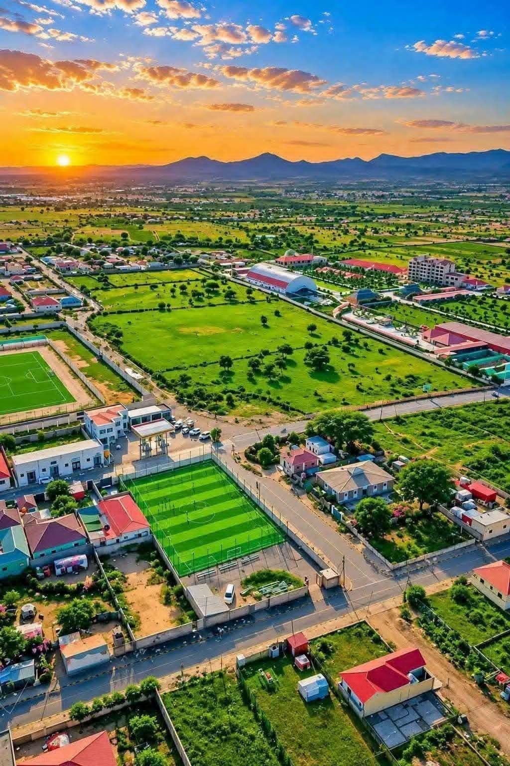 Borama